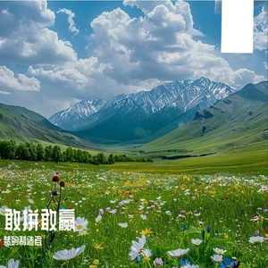 追光的幸福