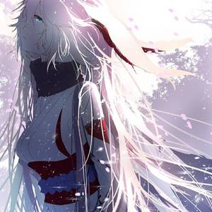 八重樱（翻自 泡泡）