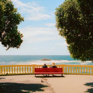 你看大雪飘啊飘