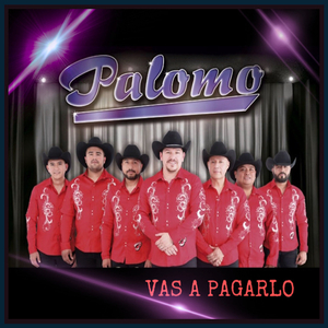 Vas a Pagarlo