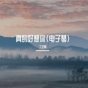 真的好想你(钢琴版)