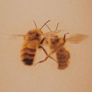 HONEYPACK (feat. Z3n721)