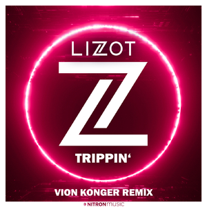 Trippin' (Vion Konger Remix)