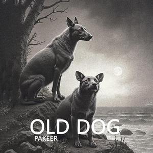 Old Dog Pakeer (feat. Qbaloch QB & Dark Street)