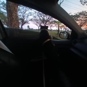 คนที่ไม่ถูกเลือก