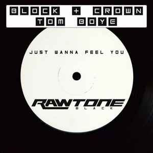 Just Wanna Feel You (Original Mix)
