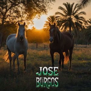 Tinta Pluma y Alabanza