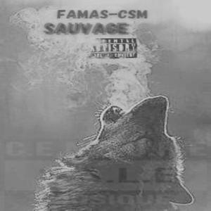 Tarifs (feat. famas-csm)