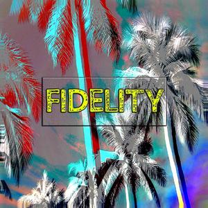 Fidelity