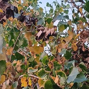 Party at the skate park