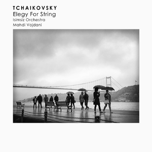 Elegy for String Orchestra, TH 51 (Live)