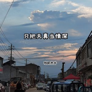 只把天真当情深