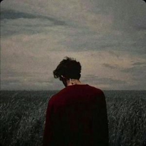 又想起你走后的每个季节