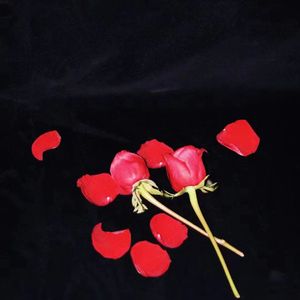 夏至晚风 (Prod by Slim Dyane.)