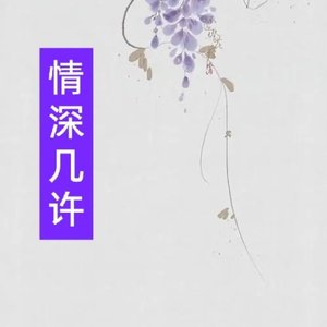 情深几许