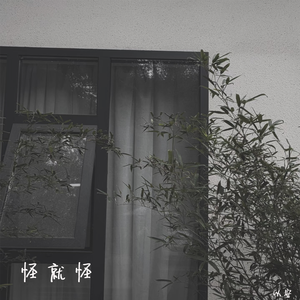 怪就怪