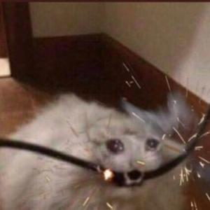 Freeway (TsunamiSoSlime)