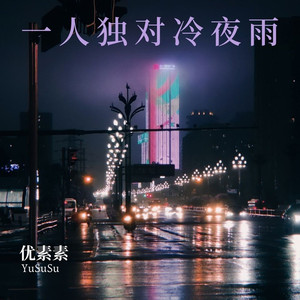 一人独对冷夜雨 (伴奏)