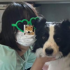 爱我的话 给我回答