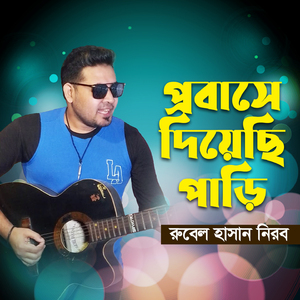 Probashe Diyechi Pari