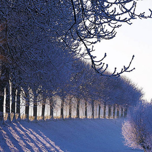 Houston We Got a Problem