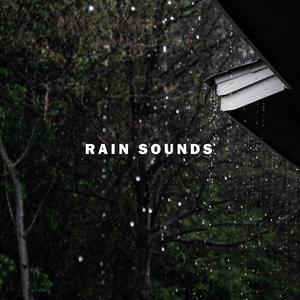 Calm Rain Sound