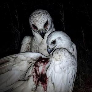 KTCY（Prod by Jerry)