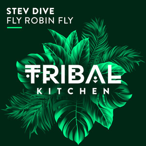 Fly Robin Fly (Original Mix)