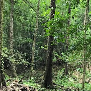 盛世国风的庄严回响