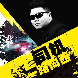 十三电音 (DJ版)