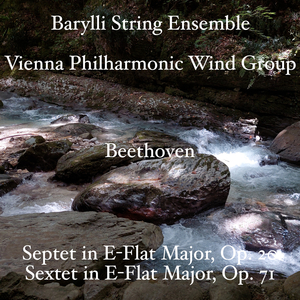 Septet in E-Flat Major, Op. 20: IV. Tema con variazioni. Andante