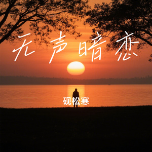 无声暗恋