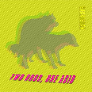 Two Dogs, One Acid