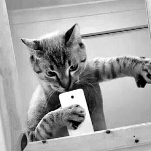 心里有数吗 (Remix)