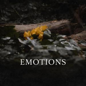 Emotions