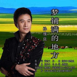 梦铺满的地方-孙维良