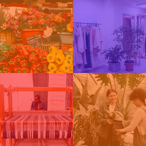 柔和的商店时刻