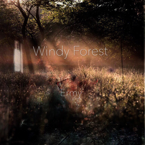 风之森林 Windy Forest
