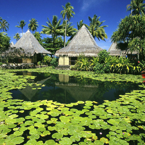 本来想一统天下