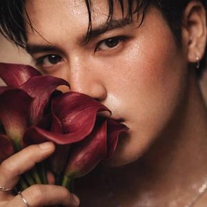 ปากแข็ง (Te Amo)