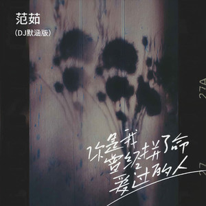 你是我曾经拼了命爱过的人(DJ版)