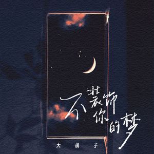不装饰你的梦