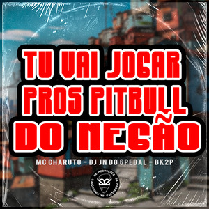 Tu Vai Jogar Pros Pitbull do Negão