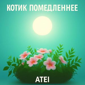 Котик помедленнее