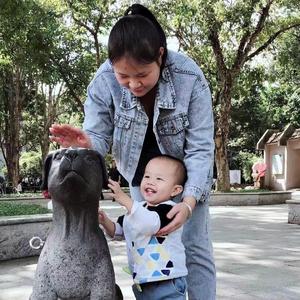 等到树叶都泛黄