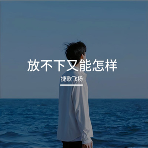 放不下又能怎样 伴奏