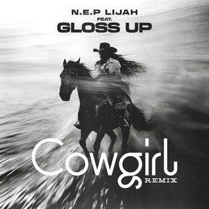 Cowgirl (Remix)