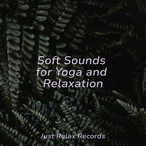 Unbound Ethereal Symphony