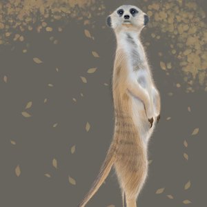 你欠我一个答案 我欠自己一个了断