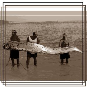 if there ever were in the sea